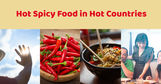 why do people in hot countries love spicy food blog image